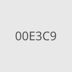 00E3C9