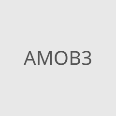 AMOB3