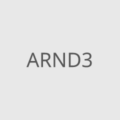 ARND3
