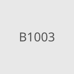 B1003