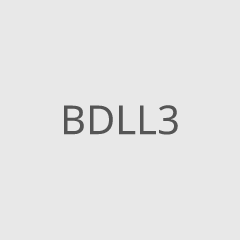 BDLL3