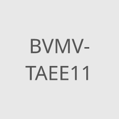 TAEE11