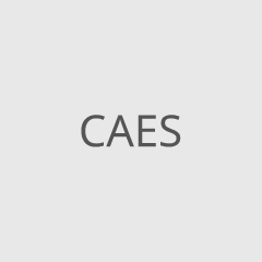 CAES