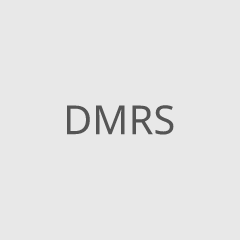 DMRS