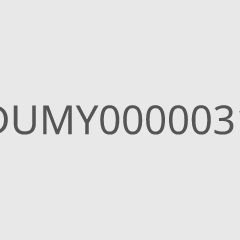 DUMY0000031