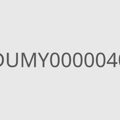 DUMY0000040
