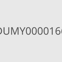 DUMY0000166