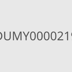 DUMY0000219