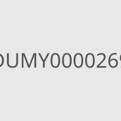 DUMY0000269