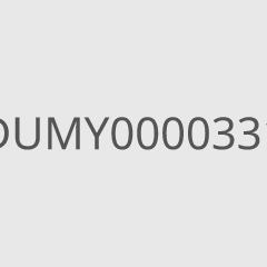 DUMY0000331