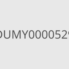 DUMY0000529