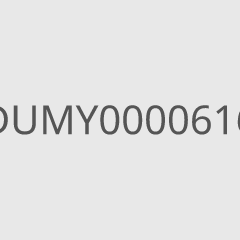DUMY0000616