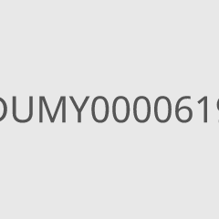 DUMY0000619