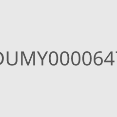 DUMY0000647