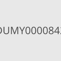DUMY0000842