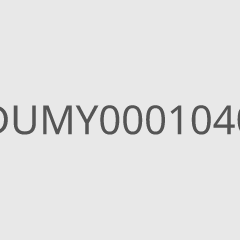 DUMY0001040