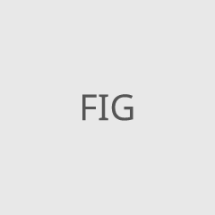 FIG