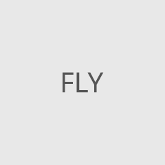 FLY