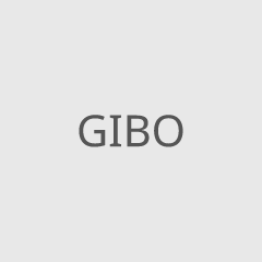 GIBO