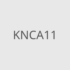 KNCA11