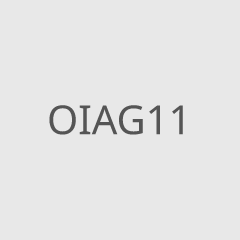 OIAG11